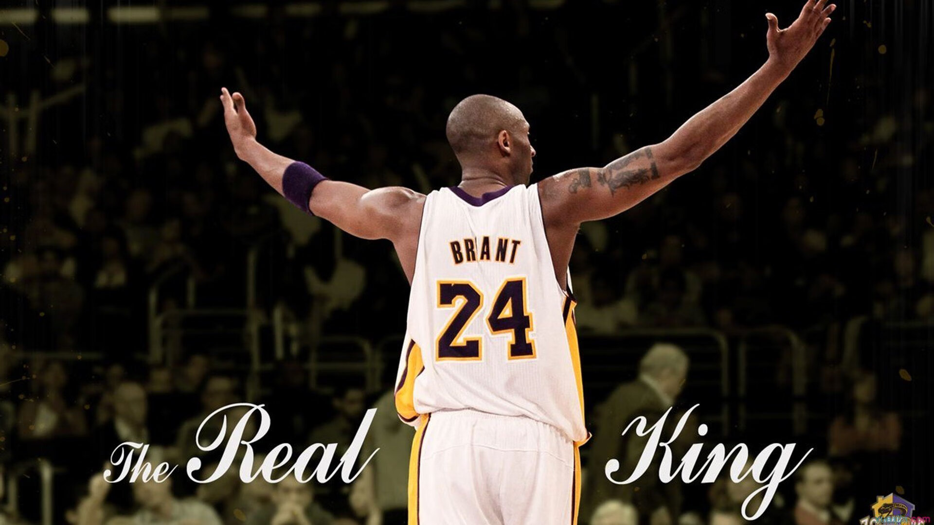 南非橄榄球吸引大量投资，商业化前景看好，南非橄榄球种族歧视现象