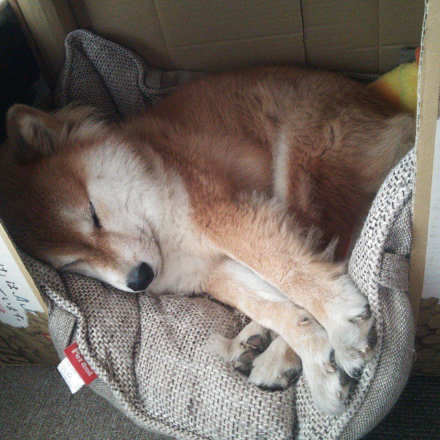 KAIYUNAPP-全国青少年足球比赛实现“智慧裁判+云端直播”，行业迈入新时代