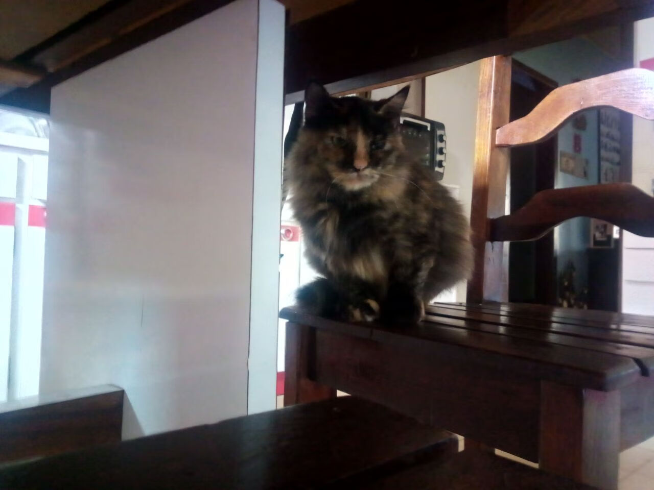 史上最难防守球员:他们的招式令人头疼,美媒评出十大最难防球员 乔丹居首詹皇竟第10